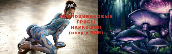 крисы Сатка