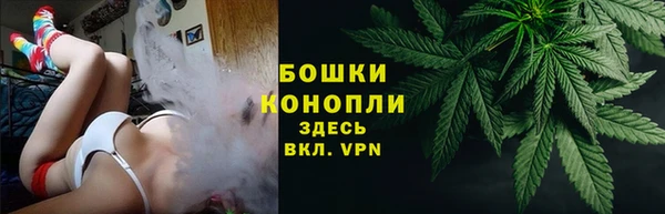 крисы Сатка