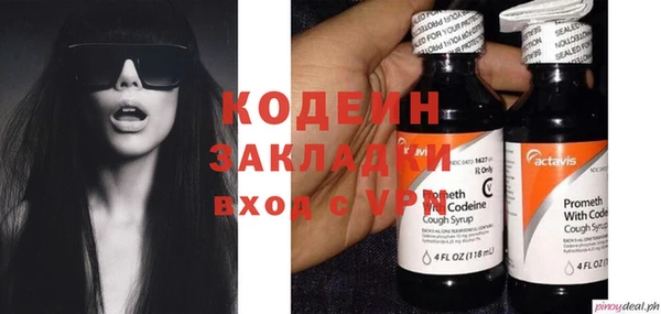 крисы Сатка