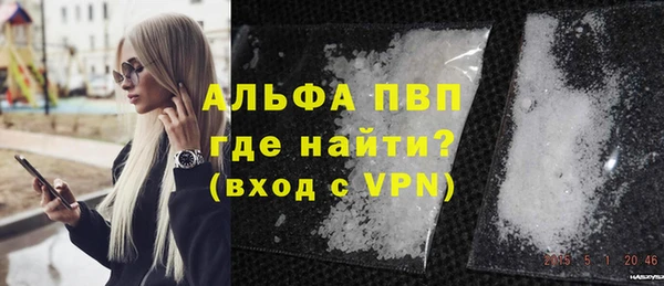 крисы Сатка