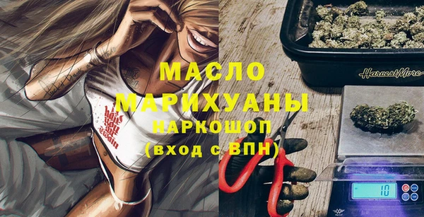 крисы Сатка