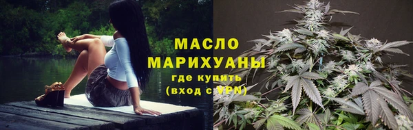 крисы Сатка