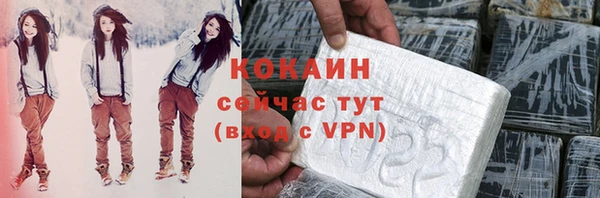 крисы Сатка