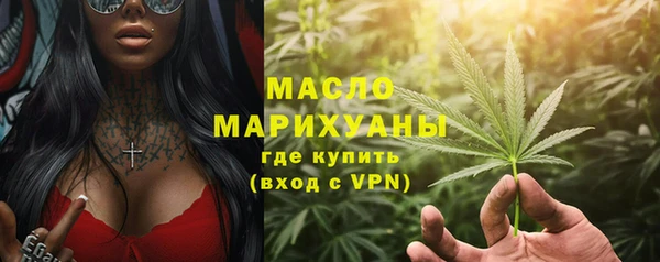 крисы Сатка