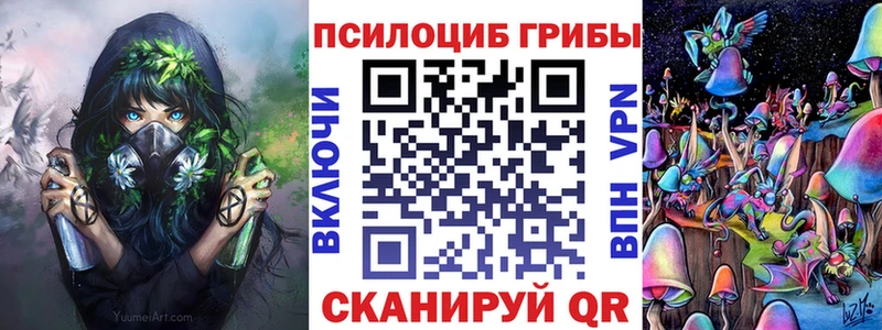 Купить закладки  Чкаловск  Галлюциногенные грибы Psilocybine cubensis 